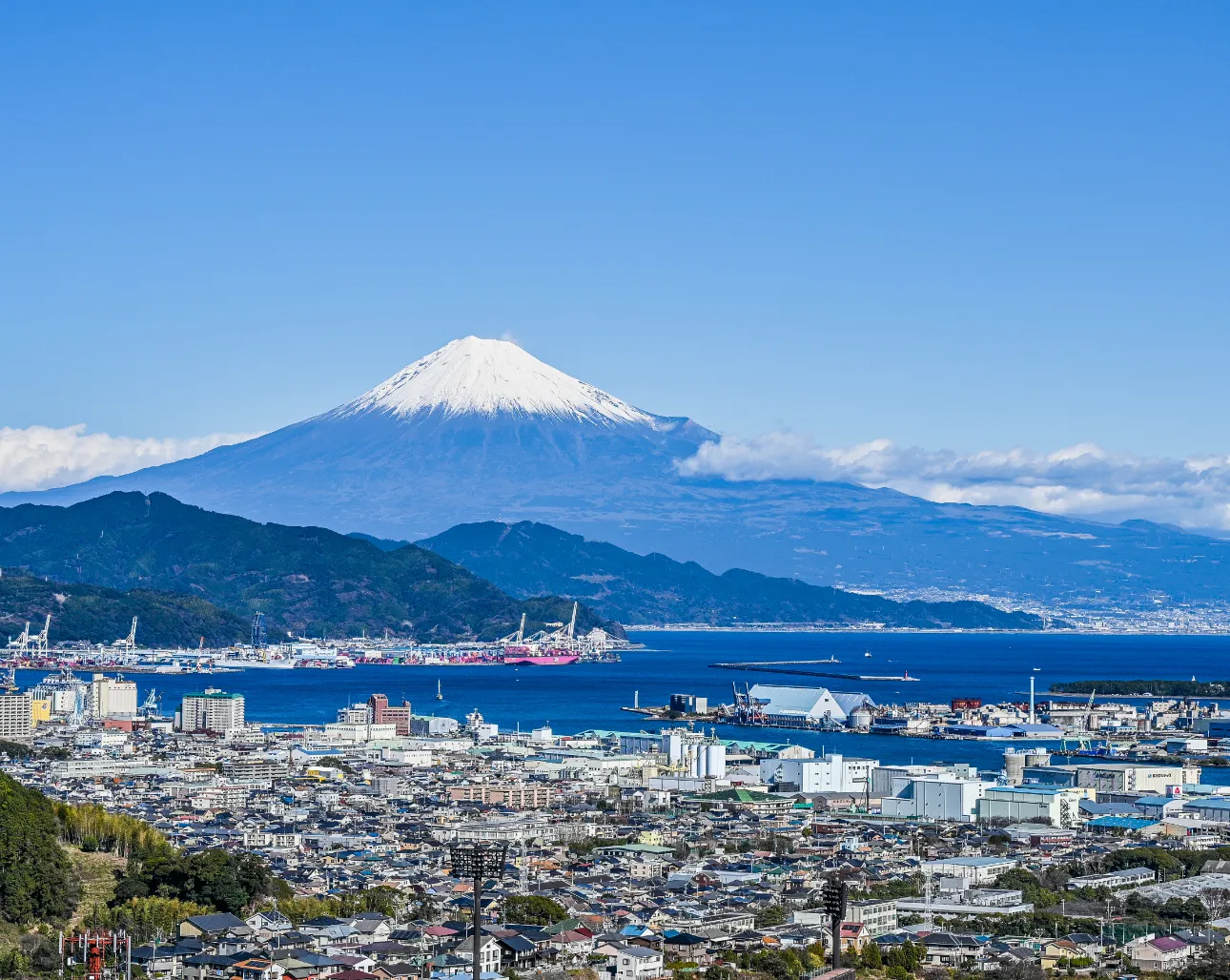 静岡県の事業者に特化